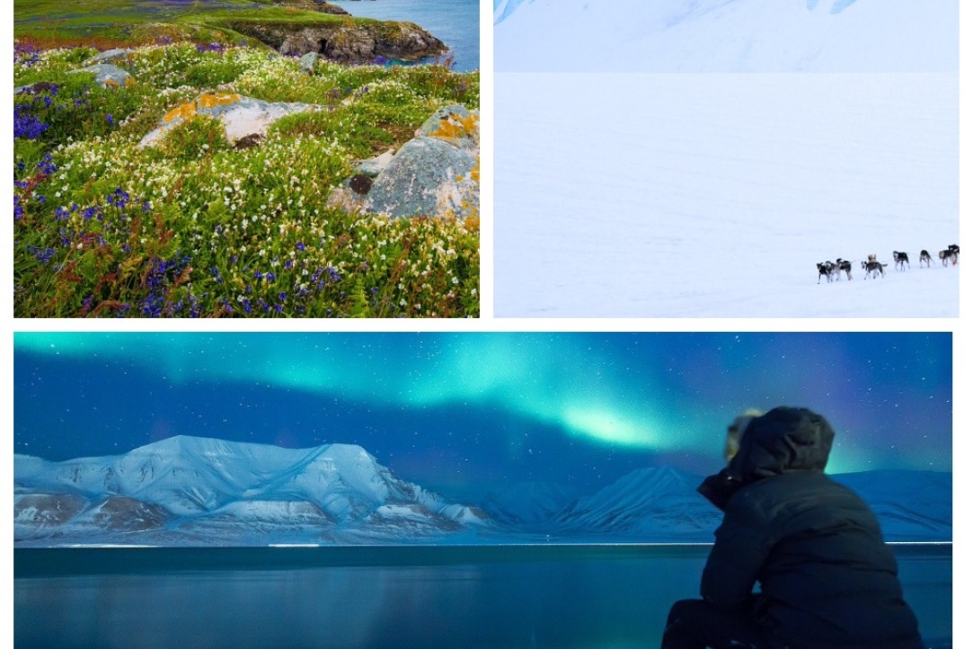 В Вышке открывается Лаборатория социогуманитарных исследований Севера и Арктики