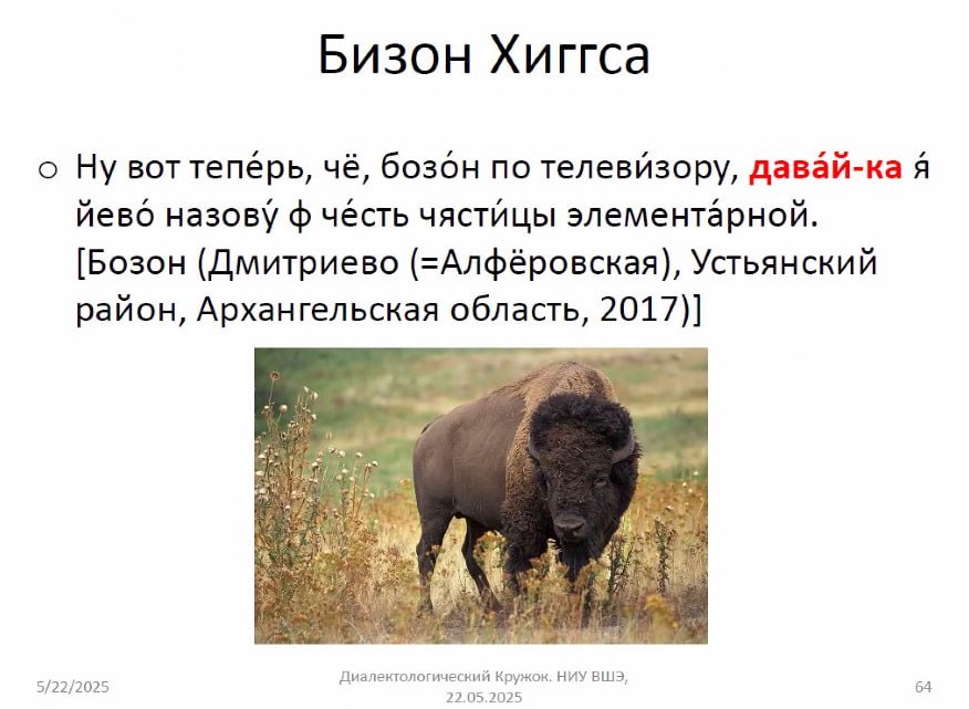 Иллюстрация к новости: Отчет о прошедшем семинаре Антона Владимировича Циммерлинга