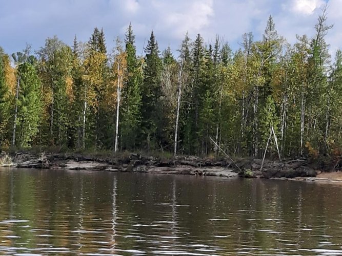 Пейзаж Пуровского района